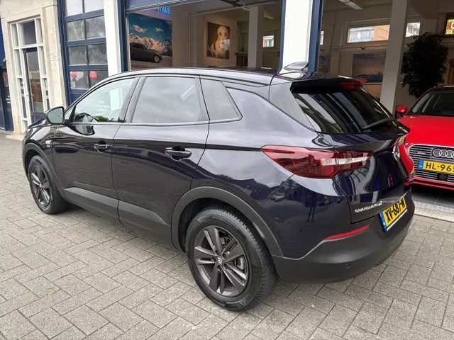 Opel Grandland X 1.2 Turbo 120 Jaar Edition 2019 Benzine 4