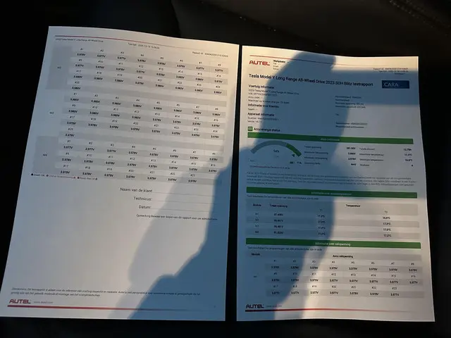 Tesla Model Y Long Range AWD 75 kWh 2023 Elektrisch 3