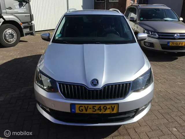 Škoda Fabia Combi 1.2 TSI Edition - Automaat 2015 Benzine 2