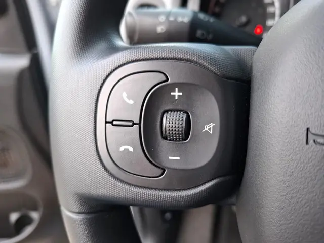 Fiat Panda 1.0 Hybrid City Life 2022 Benzine 18