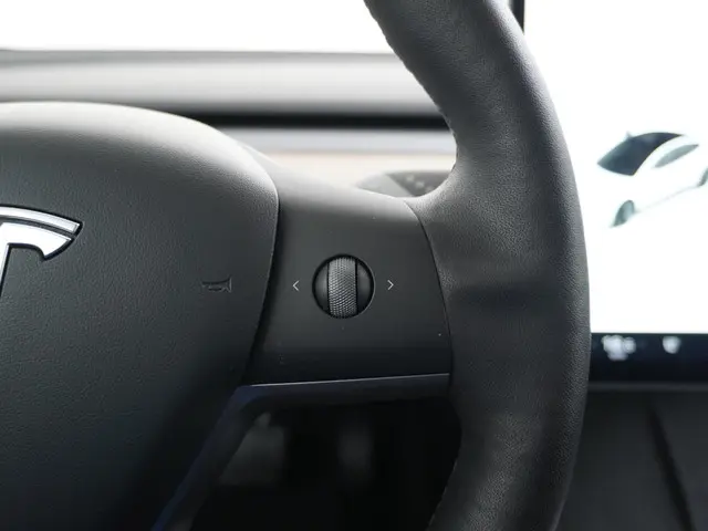 Tesla Model 3 Standard RWD Plus 60 kWh 2021 Elektrisch 30