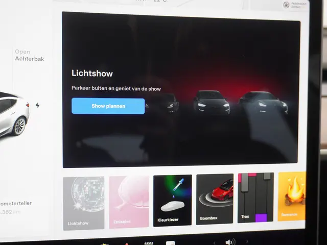 Tesla Model 3 Standard RWD Plus 60 kWh 2021 Elektrisch 43