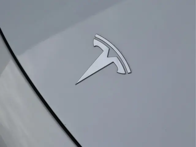 Tesla Model 3 Standard RWD Plus 60 kWh 2019 Elektrisch 10