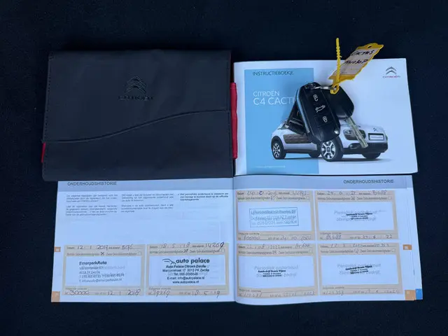 Citroën C4 Cactus 1.2 PureTech Shine 2015 Benzine 22