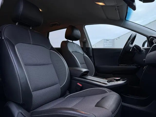Kia e-Niro Aut. Dynamic Edition 64kWh 2021 Elektrisch 13