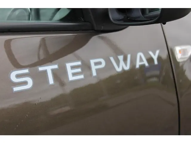 Dacia Logan MCV TCe 90 Stepway 2018 Benzine 10