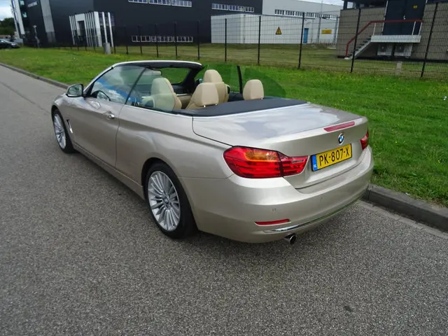 BMW 4 Serie Cabrio 420d High Executive 2014 Diesel 11