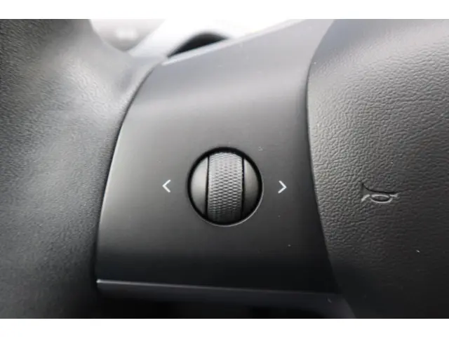 Tesla Model 3 Long Range AWD 75 kWh 2019 Elektrisch 26