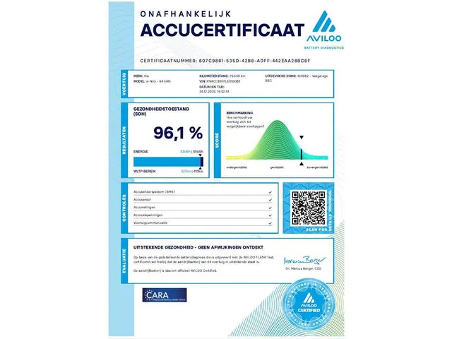 Kia e-Niro ExecutiveLine 64 kWh 2020 Elektrisch 5