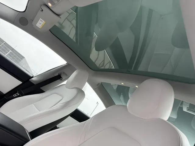Tesla Model 3 Long Range AWD 75 kWh 2019 Elektrisch 9
