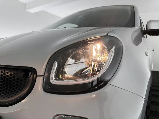 Smart Forfour EQ Business Solution 2019 Elektrisch 25