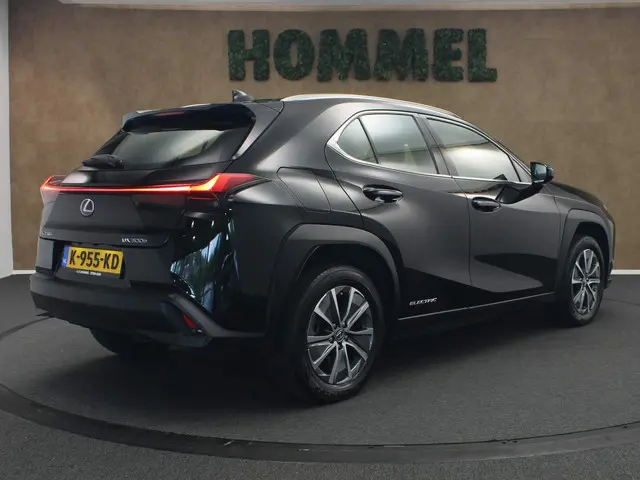 Lexus UX 300e Business 54 kWh 2020 Elektrisch 4