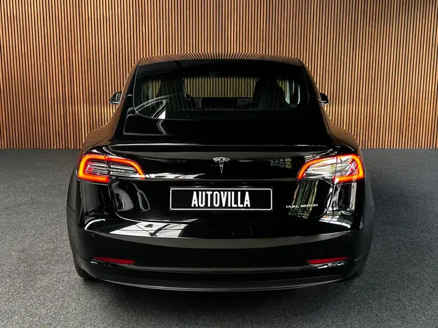 Tesla Model 3 Long Range AWD 75 kWh 2022 Elektrisch 4