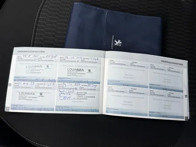 Peugeot 208 1.2 PureTech Blue Lion 2018 Benzine 19