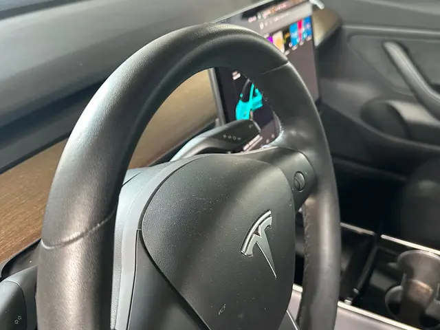 Tesla Model 3 Standard RWD Plus 60 kWh 2019 Elektrisch 26