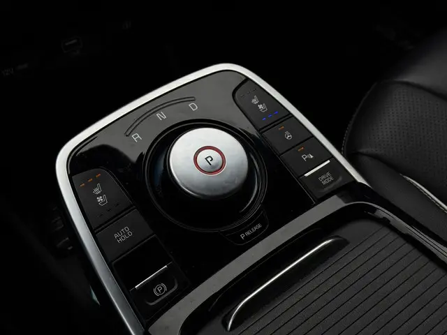 Kia e-Niro ExecutiveLine 64 kWh 2020 Elektrisch 27