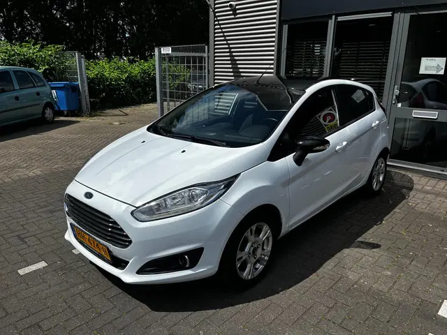 Ford Fiesta 1.0 White Edition 2015 Benzine 5