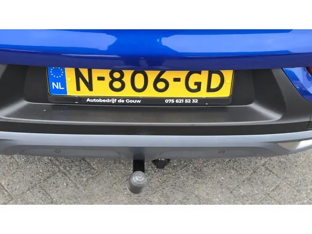 Renault Kadjar 1.3 TCe Intens 2019 Benzine 13