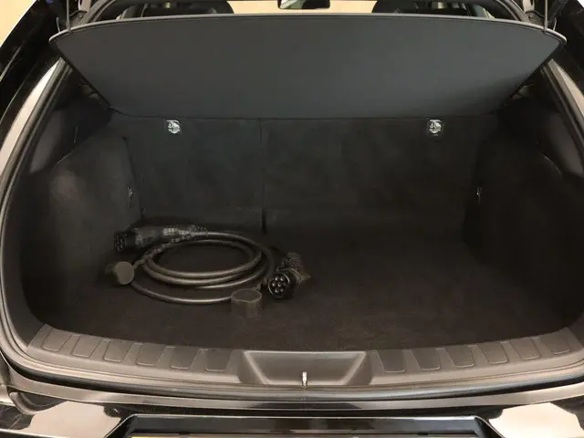 Lexus UX 300e Business 54 kWh 2020 Elektrisch 8