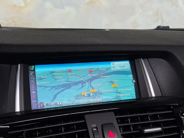 BMW X4 xDrive35d High Executive 2016 Diesel 21