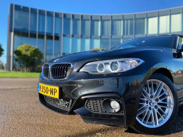 BMW 2 Serie Cabrio 220i M Sport 2016 Benzine 6