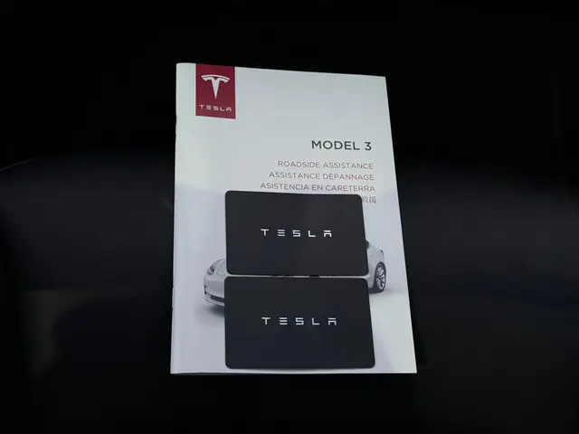 Tesla Model 3 Long Range AWD Dual 2019 Elektrisch 24