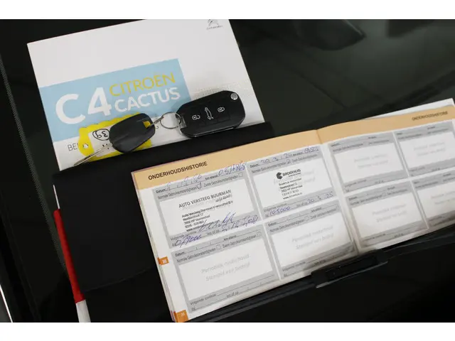 Citroën C4 Cactus 1.2 PureTech Business 2018 Benzine 24