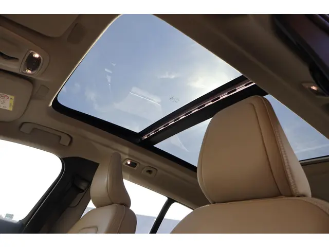 Volvo XC40 T5 Recharge Inscription 2021 Benzine 19