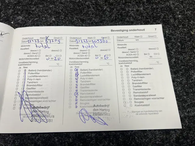 Opel Corsa 1.0 Turbo Black Roof Edition 2017 Benzine 39