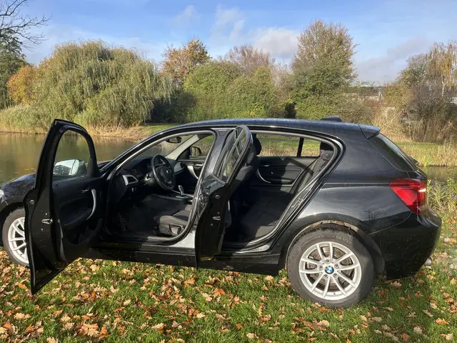 BMW 1 Serie 118i Executive 2014 Benzine 10