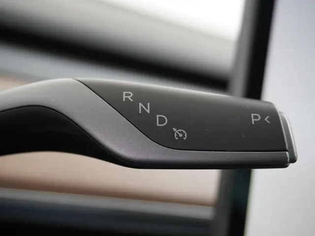Tesla Model 3 Long Range RWD 75 kWh 2023 Elektrisch 27