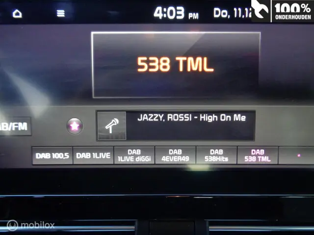 Kia e-Niro ExecutiveLine 64 kWh 2020 Elektrisch 20