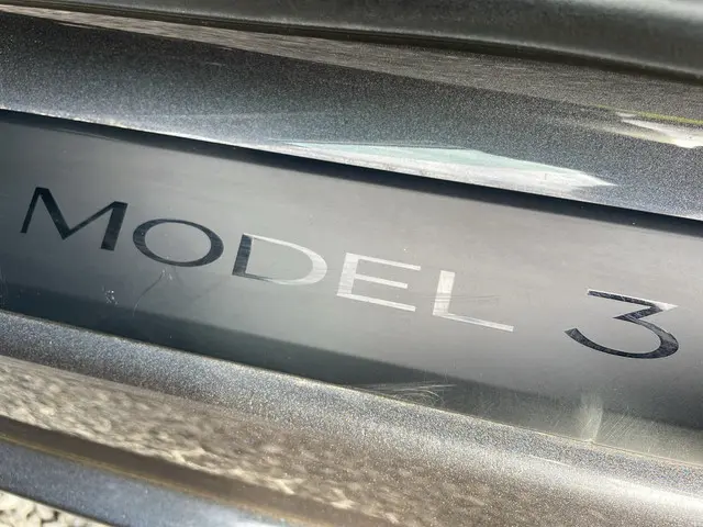 Tesla Model 3 Performance AWD 75 kWh 2022 Elektrisch 4