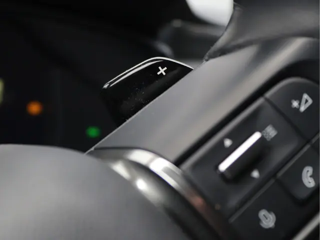 Citroën C5 X 1.6 PureTech Business Plus 2022 Benzine 39