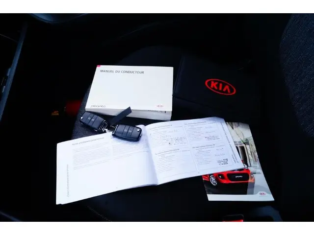 Kia Picanto 1.0 CVVT Airco 55000 km 2016 Benzine 11