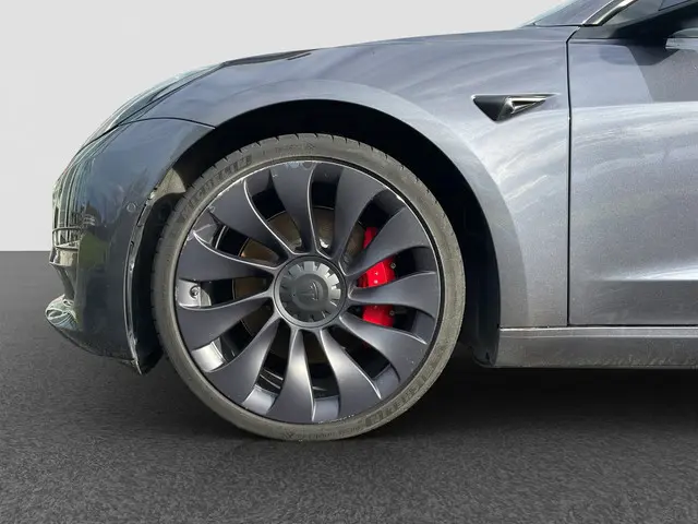 Tesla Model 3 Performance AWD 75 kWh 2022 Elektrisch 23