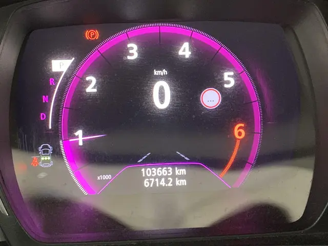 Renault Kadjar 1.2 TCe Extase 2016 Benzine 4