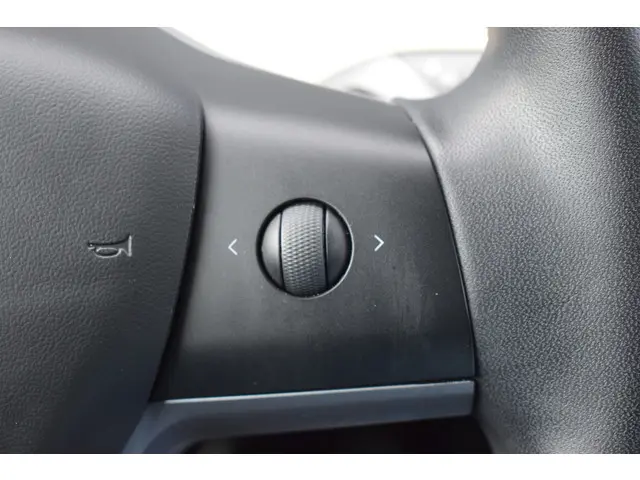 Tesla Model 3 Standard RWD Plus 60kWh 2020 Elektrisch 28