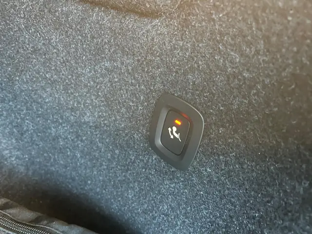 Volvo XC40 Recharge P8 AWD R-Design 2021 Elektrisch 18