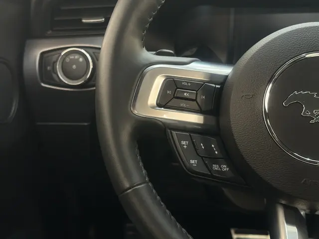 Ford Mustang 5.0 V8 GT Performance 2024 Benzine 22