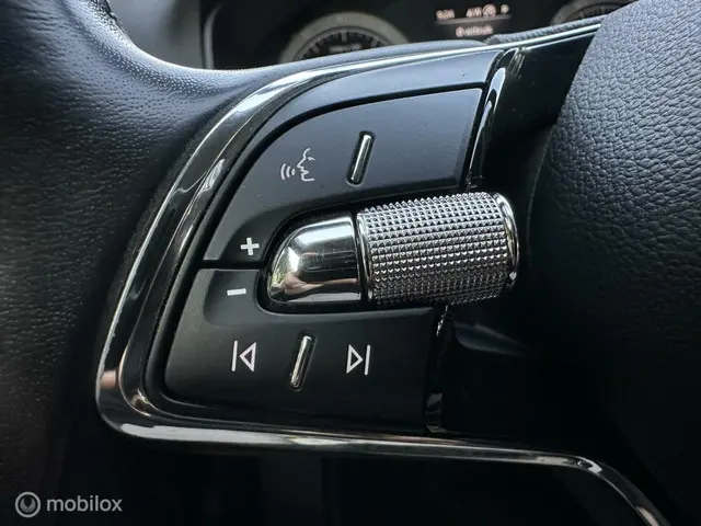 Škoda Karoq 1.5 TSI ACT Business Edition 2021 Benzine 21