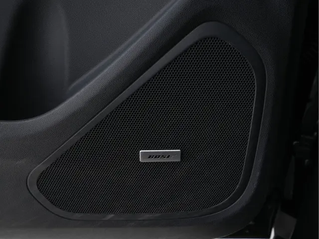 Opel Ampera-e Business Executive 60 kWh 2019 Elektrisch 18