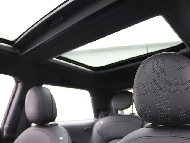 MINI Electric Yours 2020 Elektrisch 11