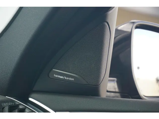 BMW X4 xDrive20i M Sport 2021 Benzine 17