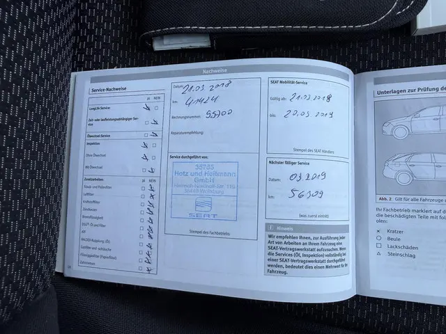 SEAT Ibiza 1.0 MPI Stylance 2015 Benzine 25