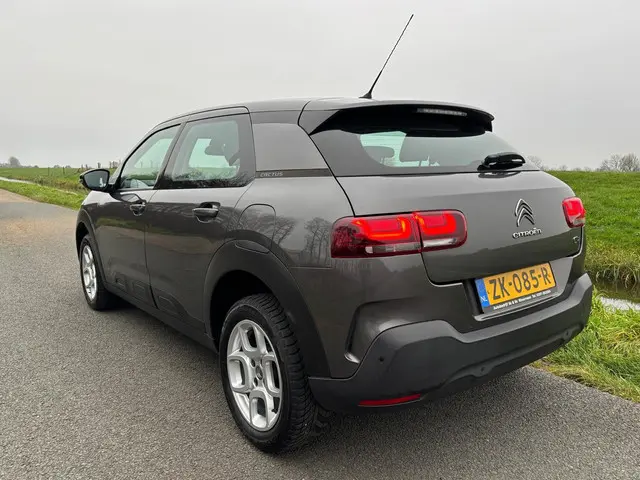 Citroën C4 Cactus 1.2 PureTech Business 2019 Benzine