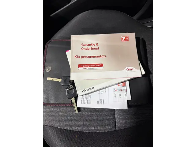 Kia Picanto 1.0 CVVT EconomyPlusLine 2016 Benzine 14