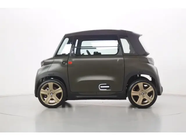 Citroën Ami Pack VDA Custom 16" 2021 Elektrisch 5