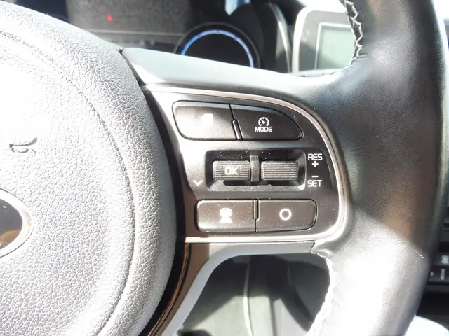 Kia e-Niro ExecutiveLine 64 kWh 2020 Elektrisch 29