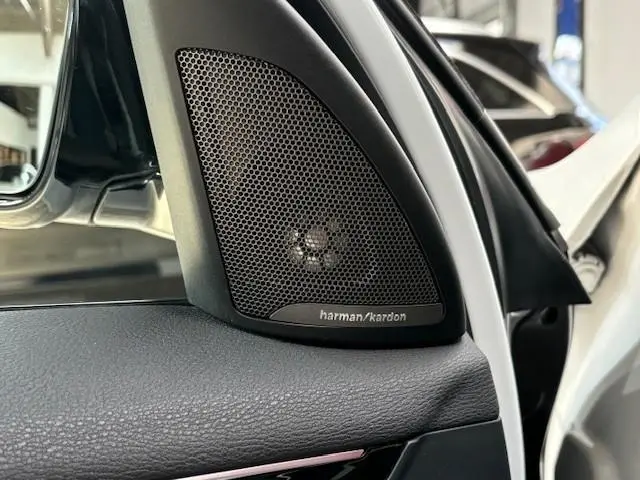BMW X1 xDrive20i High Executive 2017 Benzine 19